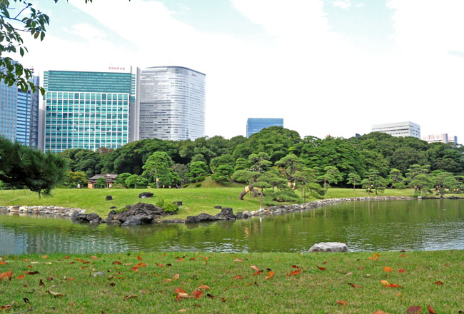 公園７