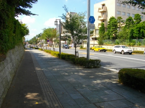 小山御殿跡堀跡 (500x375).jpg