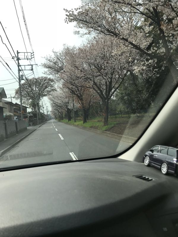 rblog-20180329004225-00.jpg