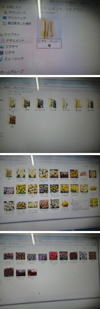 PCのフォルダに整理