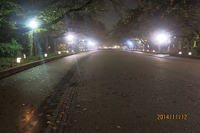 IMG_4510b.jpg