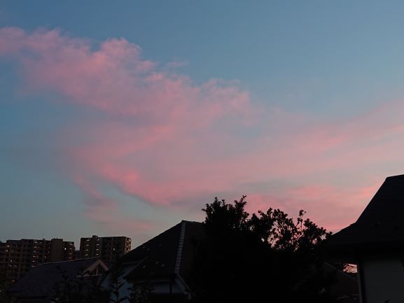 ピンクの夕焼け雲 のりのりめじろの日記 楽天ブログ