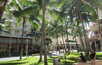 Waikiki 10/23