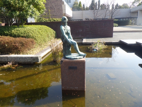 大阪市立自然史博物館2017年1月下旬4　澪（みお）