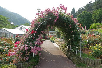 佳松園117.jpg