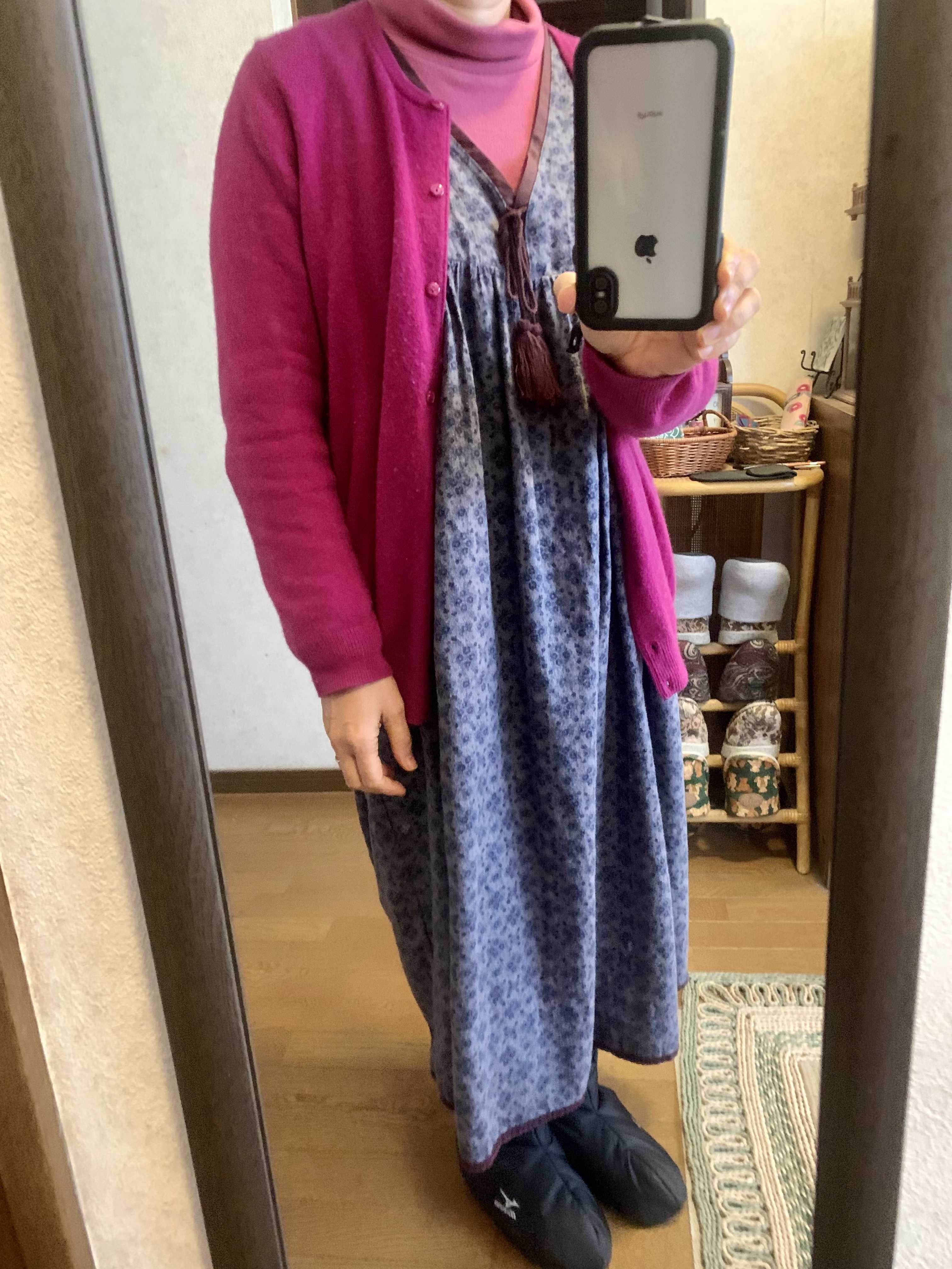 ダイエット食事日記５５３７日 整形外科 体調が悪かったので 卓球と 清水ミチコライブをキャンセルしてしまった Music Land 私の庭の花たち 楽天ブログ