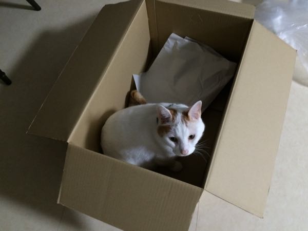 rblog-20150610055612-04.jpg