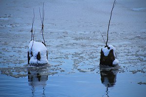 IMG_9960.jpg