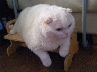 170624_1211~01.jpg