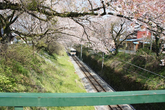 2014-0421-14.jpg