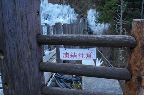 DSC01319.JPG