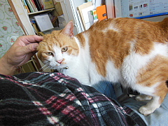 conv0059.JPG
