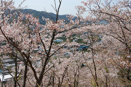 s-DSC_0039.jpg