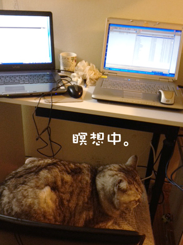 120224_3.jpg