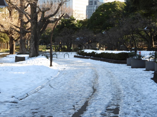 日比谷公園にて