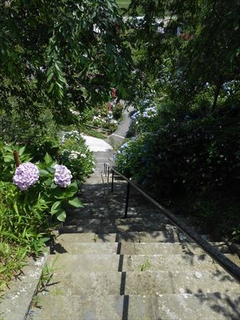 花の寺　本勝寺