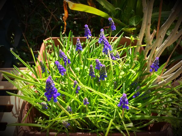 rblog-20150331200250-02.jpg