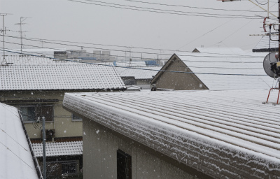 雪化粧2014b