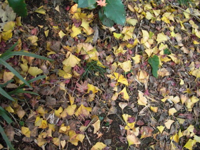 IMG_0001_84.jpg
