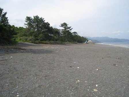 IMG_9934 縮小 - コピー.jpg