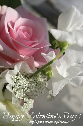 Happy  Valentine's Day
