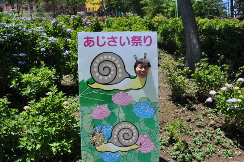 太閤山　あじさい祭り