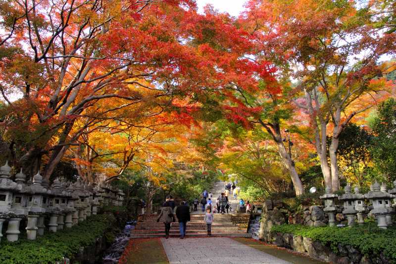 勝尾寺_3-5.jpg