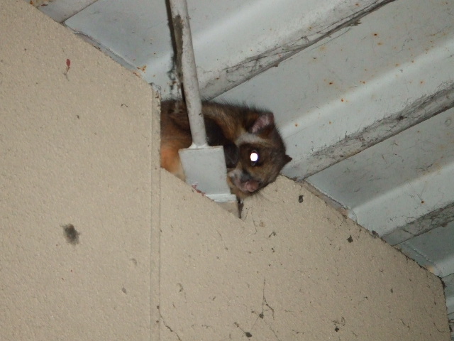 DSCF8724.JPG