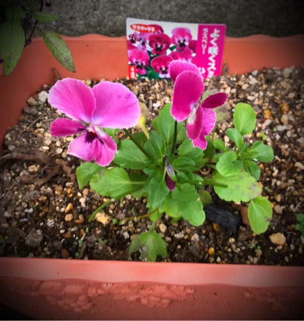 rblog-20161030163019-06.jpg