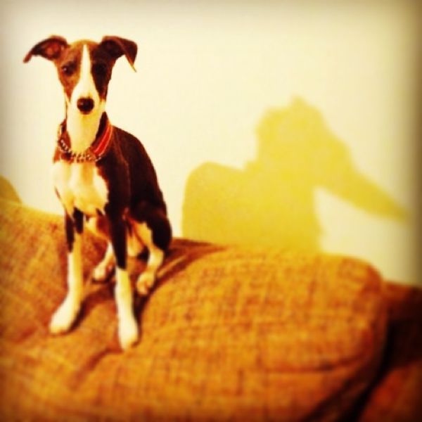 rblog-20140302164517-01.jpg