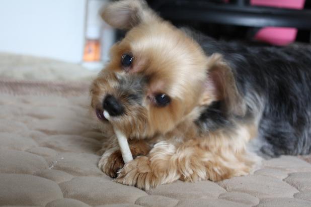 コピー ～ IMG_9297.JPG