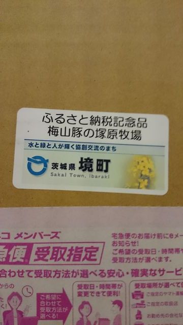 2015-10-09 18.55.17.jpg