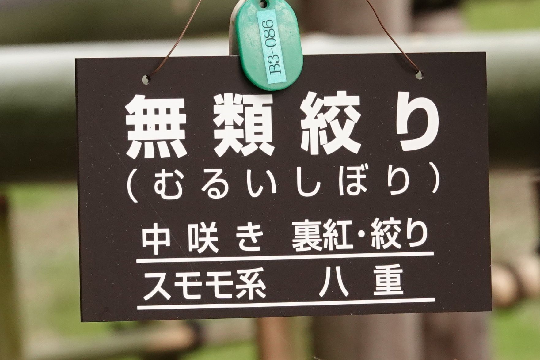 季節 の記事一覧 アウトドア親爺の徒然日記 楽天ブログ