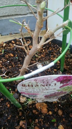 rblog-20171103113051-00.jpg