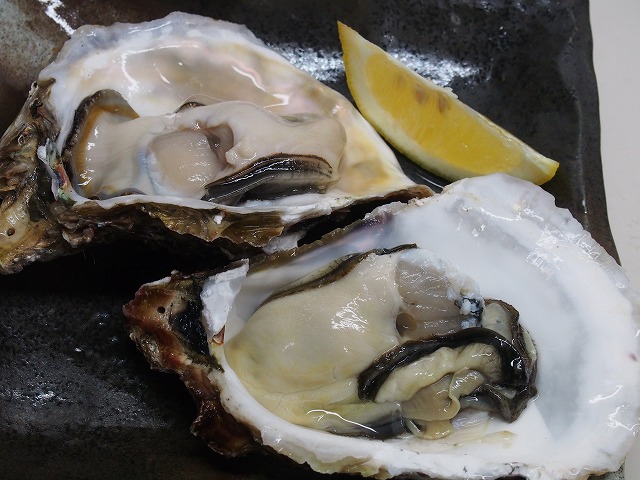 P3260011.JPG