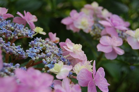 s-DSC_0382.jpg