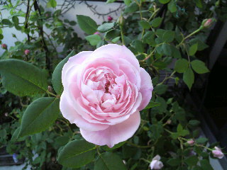 2012-04-20 20:33:13