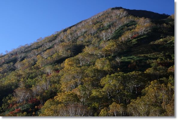 栂池自然園-45 楠川-3 15.10.2