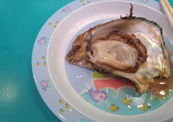 20120817_3_R.jpg
