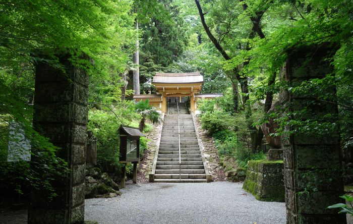 6月の日向ウォーク みんな でかけようよ 楽天ブログ