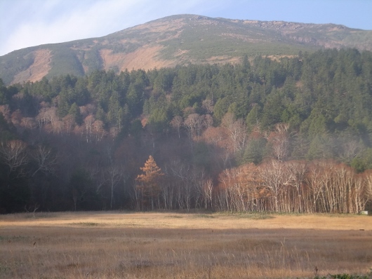 DSCF2757 (530x398).jpg