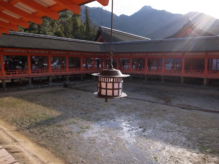 R0028571.JPG