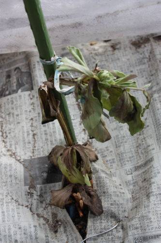 2015032104.JPG