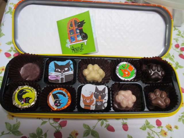 チョコ