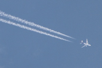E7D_9178-2.jpg