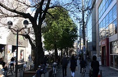IMG_5011-3.jpg
