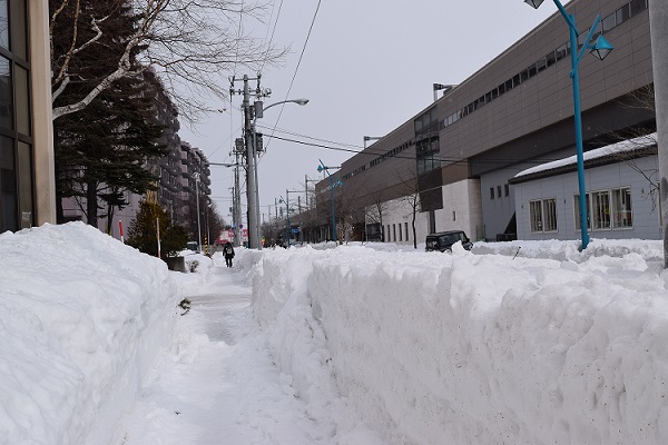 標準的な市道の排雪