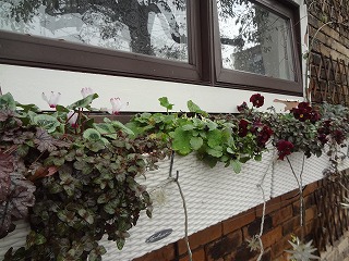 DSC06064.jpg