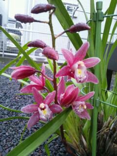 rblog-20140320082534-01.jpg