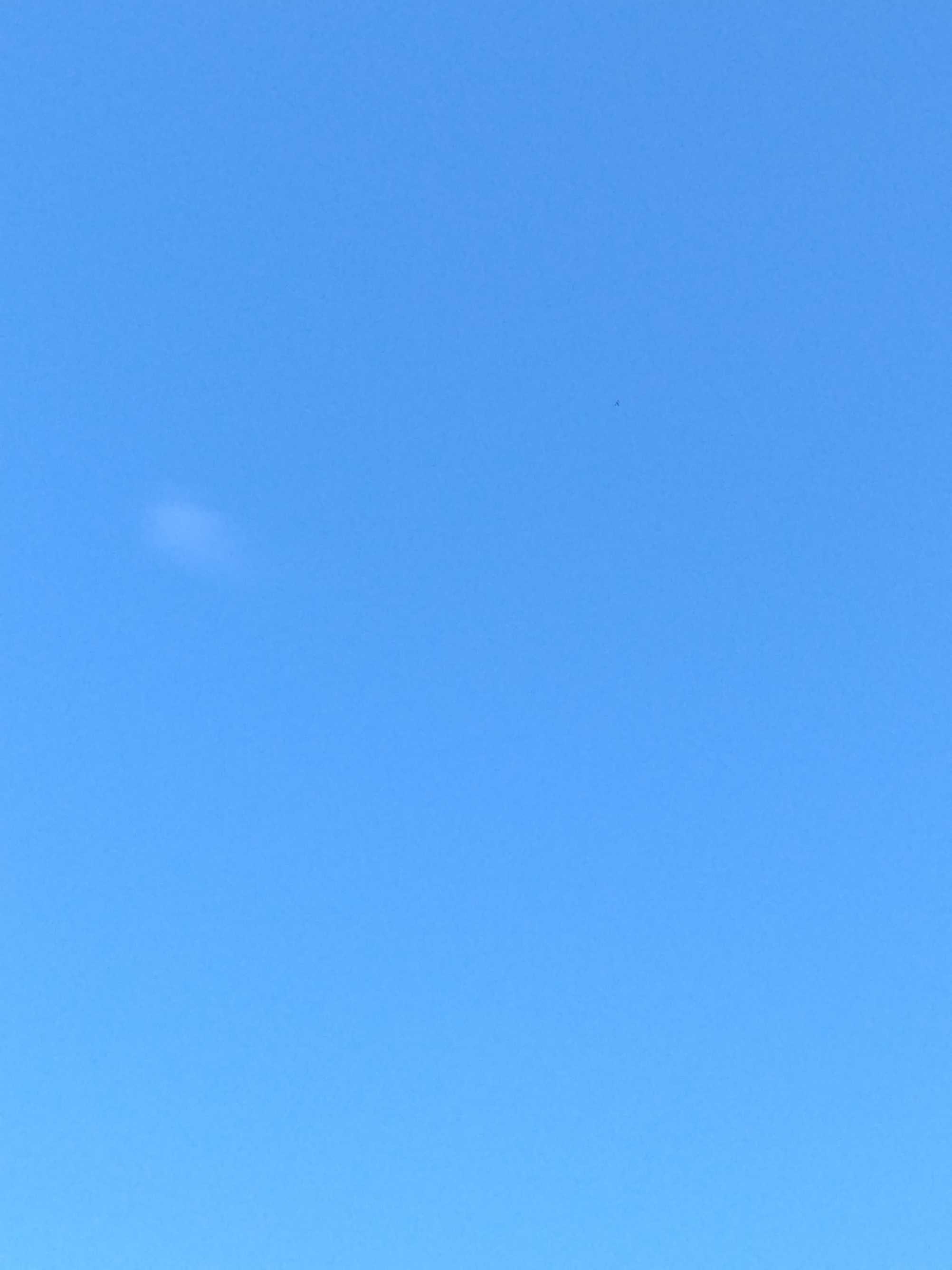 真っ青 | 遊タロウの悠遊なひととき - 楽天ブログ